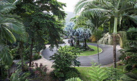 Oasis At Palm Cove - Lightning Ridge Tourism 7
