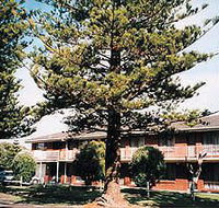 Eastern Beach Holiday Units - Lightning Ridge Tourism