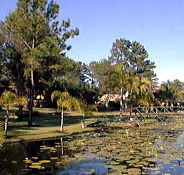Twin Lakes Hotel - Lightning Ridge Tourism