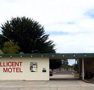Millicent Motel - Lightning Ridge Tourism