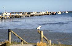 Port Macdonnell SA Lightning Ridge Tourism