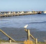 Seaview Motel and Holiday Units - Lightning Ridge Tourism