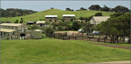 Cape Schanck VIC Lightning Ridge Tourism