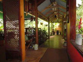 Daintree Rainforest Retreat Motel - Lightning Ridge Tourism 2