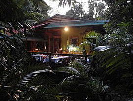 Daintree Rainforest Retreat Motel - Lightning Ridge Tourism 4
