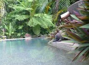 Daintree Rainforest Retreat Motel - Lightning Ridge Tourism 5