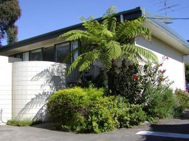 Penguin Mews - Lightning Ridge Tourism 3