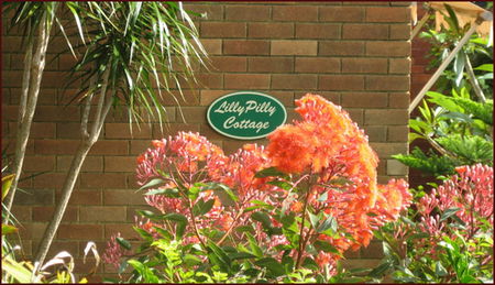 Balgowlah NSW Lightning Ridge Tourism