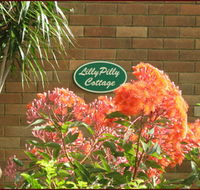 Lillypilly - Lightning Ridge Tourism
