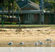 Best Western Coastal Waters Motor Inn - Lightning Ridge Tourism