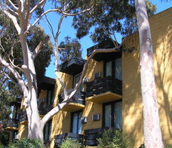 Pathfinder Motel - Lightning Ridge Tourism 1