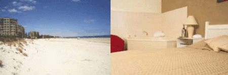 Buffalo Motor Inn - Lightning Ridge Tourism 4