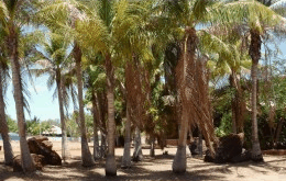 King Sound Resort Hotel - Lightning Ridge Tourism