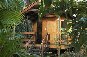 Cape Tribulation QLD Lightning Ridge Tourism