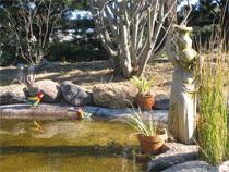 Murray Gardens Motel And Cottages - Lightning Ridge Tourism 2