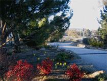 Murray Gardens Motel And Cottages - Lightning Ridge Tourism 3