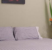 Stingo Hotel - Lightning Ridge Tourism
