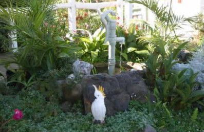 Kingfisher Motel - Lightning Ridge Tourism 3