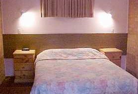 Newcastle Links Motel - Lightning Ridge Tourism 3