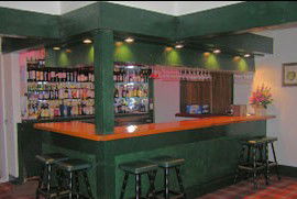 Seaton Arms Motor Inn - Lightning Ridge Tourism 3