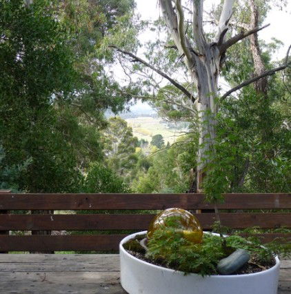 Bimblegumbie B And B - Lightning Ridge Tourism 0