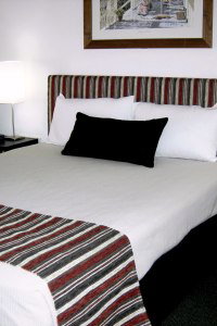 Cattle City Motor Inn - Lightning Ridge Tourism 1