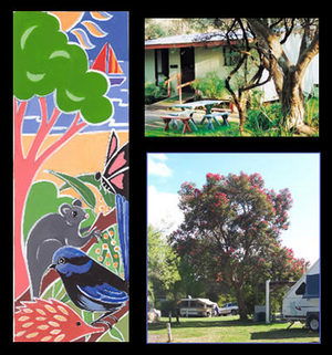 Bushland Cabins - Lightning Ridge Tourism 0