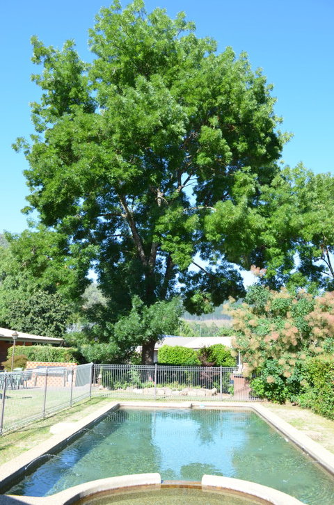 Bright Colonial Inn Motel - Lightning Ridge Tourism 4