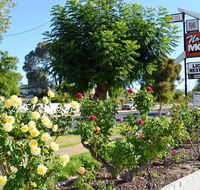 Narrogin Motel - Lightning Ridge Tourism