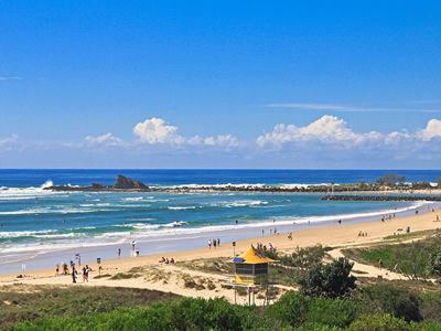 Princess Palm On The Beach - Lightning Ridge Tourism 8