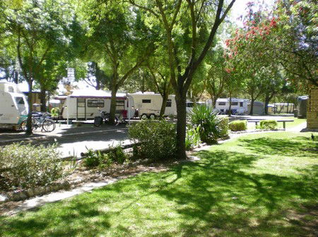 BIG 4 Barossa Tourist Park - Lightning Ridge Tourism 1