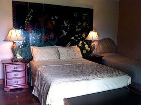 Daintree Manor - Lightning Ridge Tourism 0