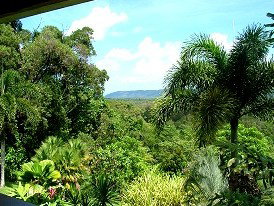 Daintree Manor - Lightning Ridge Tourism 3