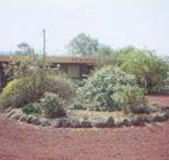 Beaufort Motel - Lightning Ridge Tourism