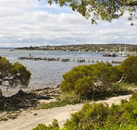 Seagulls Wrest Point - Lightning Ridge Tourism