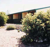 The Fig Tree Bed  Breakfast - Lightning Ridge Tourism