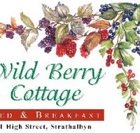 Wild Berry Cottage - Lightning Ridge Tourism
