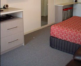 Golden Chain Tower Motor Inn - Lightning Ridge Tourism 5