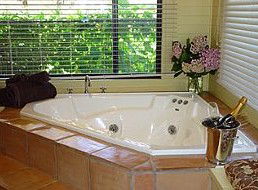 Treetops Bed & Breakfast - Lightning Ridge Tourism 1