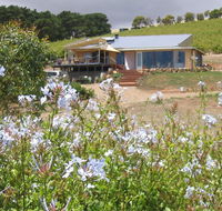 The Blue Grape Vineyard Accommodation - Lightning Ridge Tourism