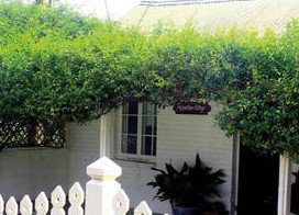 Peppertree Cottage Bed And Breakfast - Normanville - Lightning Ridge Tourism 1