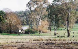 Tungali Cottage - Lightning Ridge Tourism 3