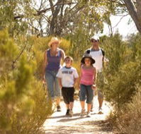 Long Island Caravan Park Cabins - Lightning Ridge Tourism