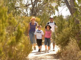 Long Island Caravan Park Cabins - Lightning Ridge Tourism 0