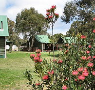 Derwent Bridge Chalets and Studios - Lightning Ridge Tourism