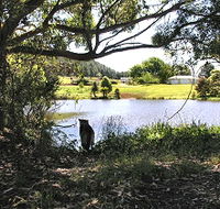 Newry Park Cottage - Lightning Ridge Tourism