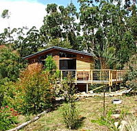 Southern Forest Accommodation - Lightning Ridge Tourism