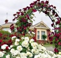 Golden Embers Apartments and B and B - Lightning Ridge Tourism