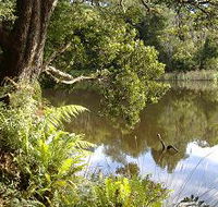 Weldborough Camping Ground - Lightning Ridge Tourism