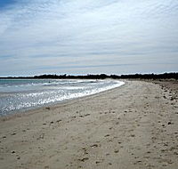 Greens Beach Caravan Park - Lightning Ridge Tourism